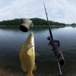  Real VR Fishing